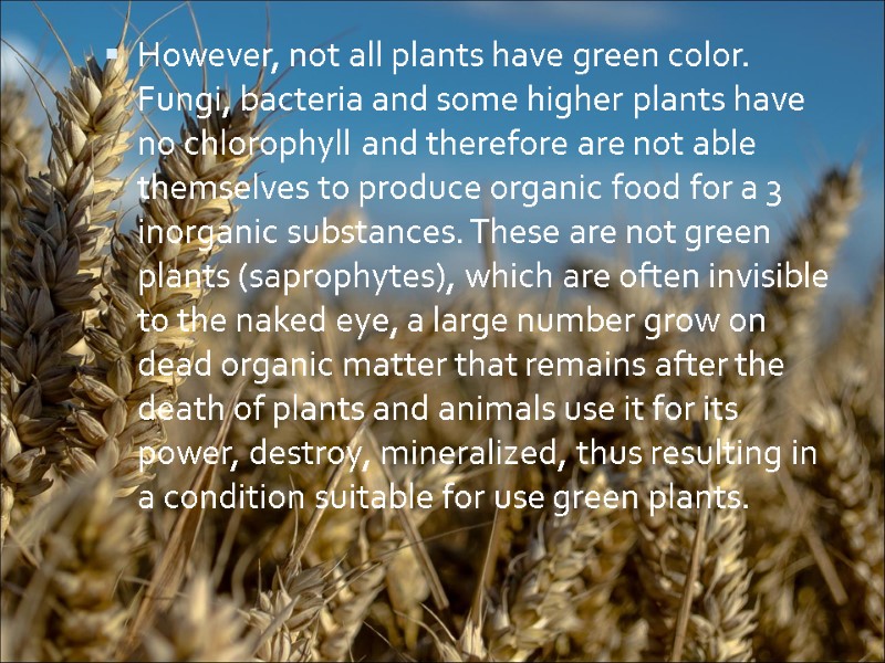However, not all plants have green color. Fungi, bacteria and some higher plants have